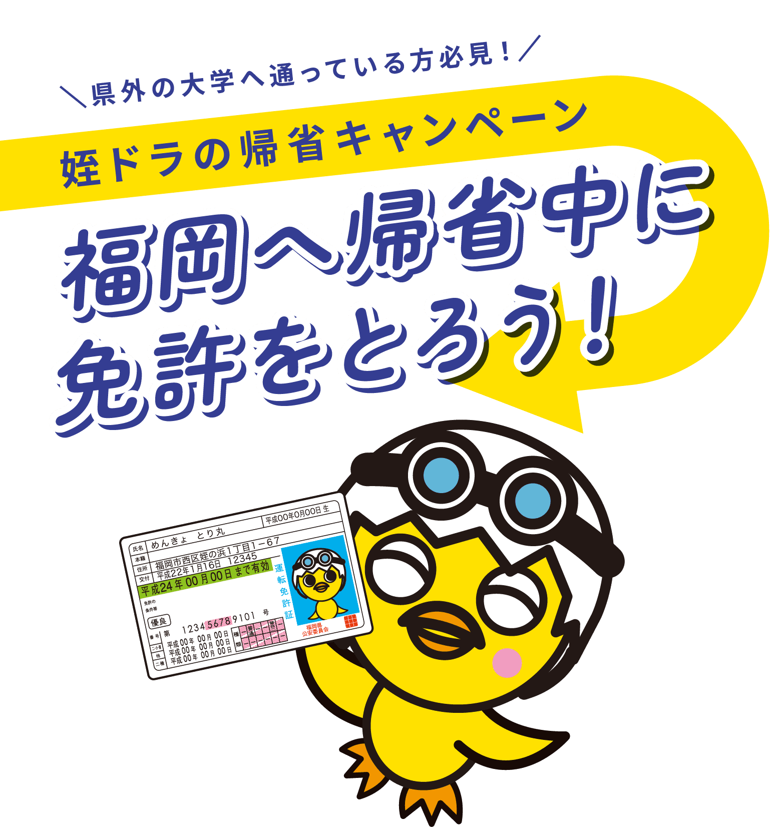 県外の大学へ通っている方必見！姪ドラの帰省キャンペーン｜福岡へ帰省中に免許をとろう！